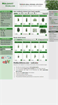 Mobile Screenshot of moldavitstore.com
